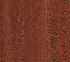 Película adhesiva Cassia Siamea Merbau Platanus del efecto de madera del Zebrawood de Whitewood